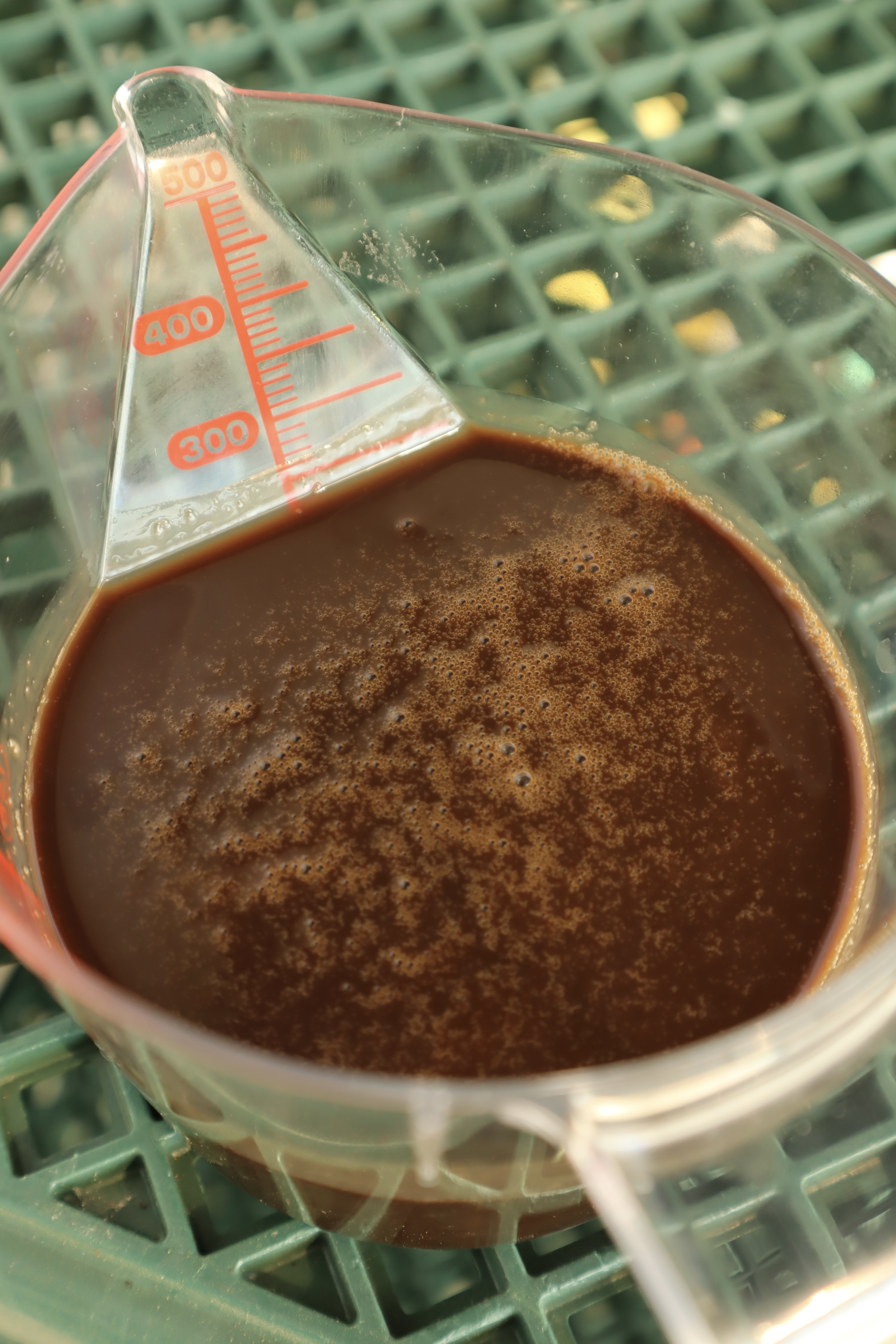 畑に実った中玉トマト