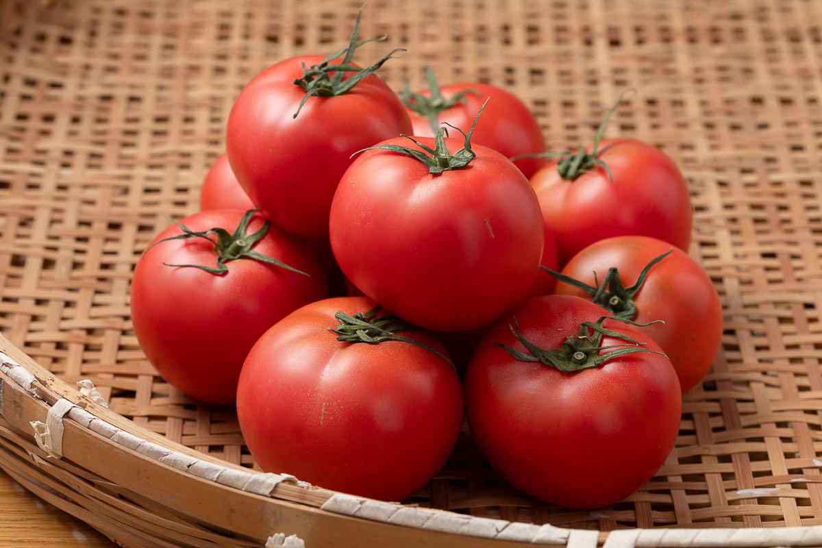 たくさんの大玉トマト