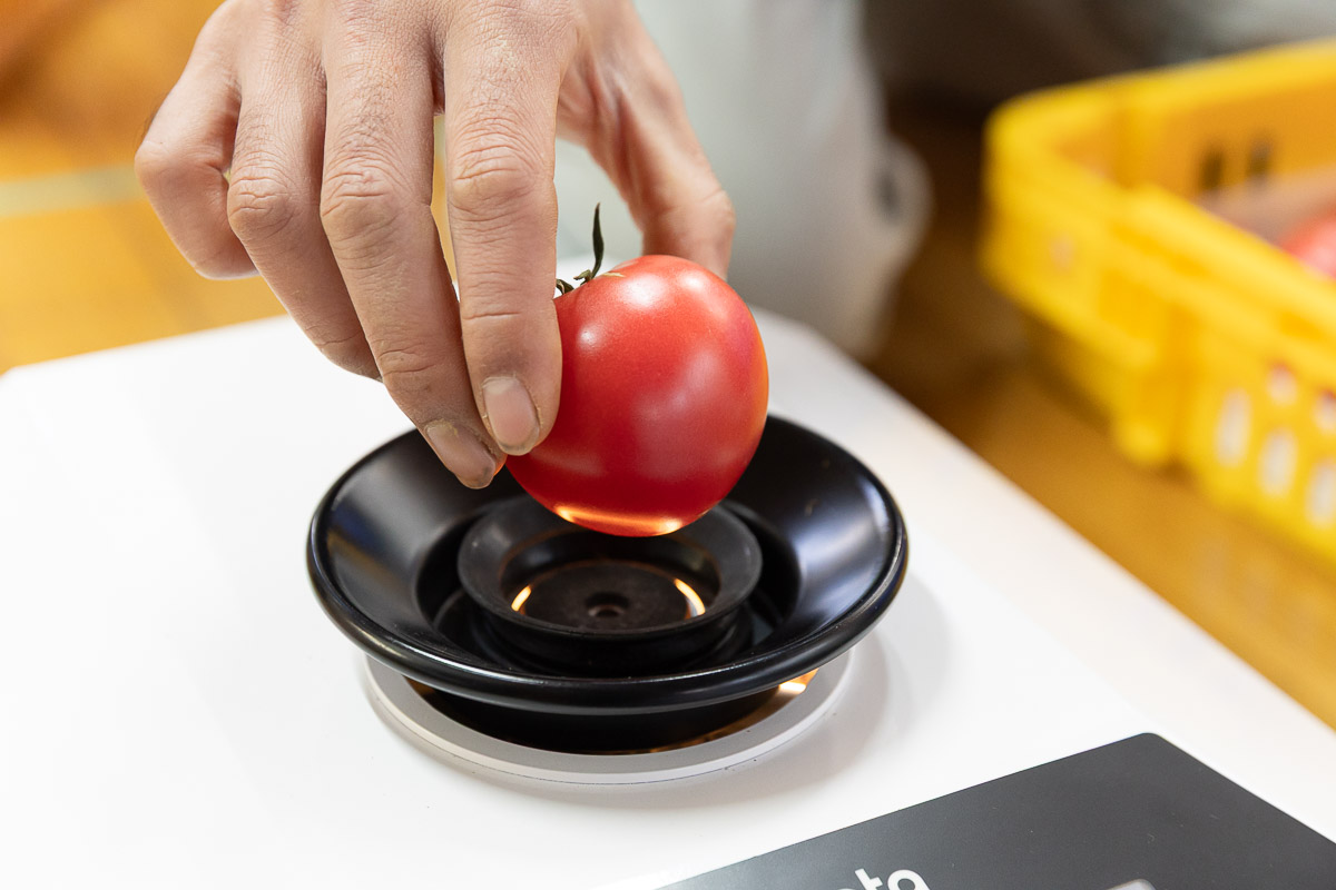 緑から赤へグラデーションしたミニトマト