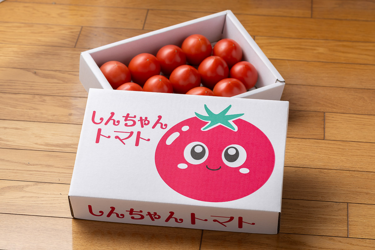 たくさんの大玉トマト