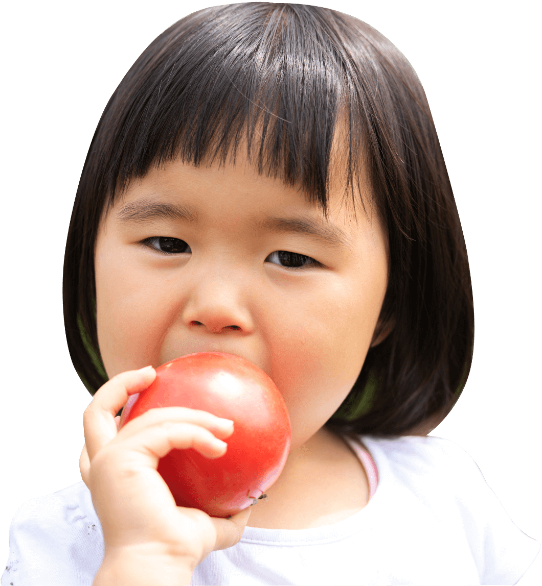 大玉のトマトを食べる女の子
